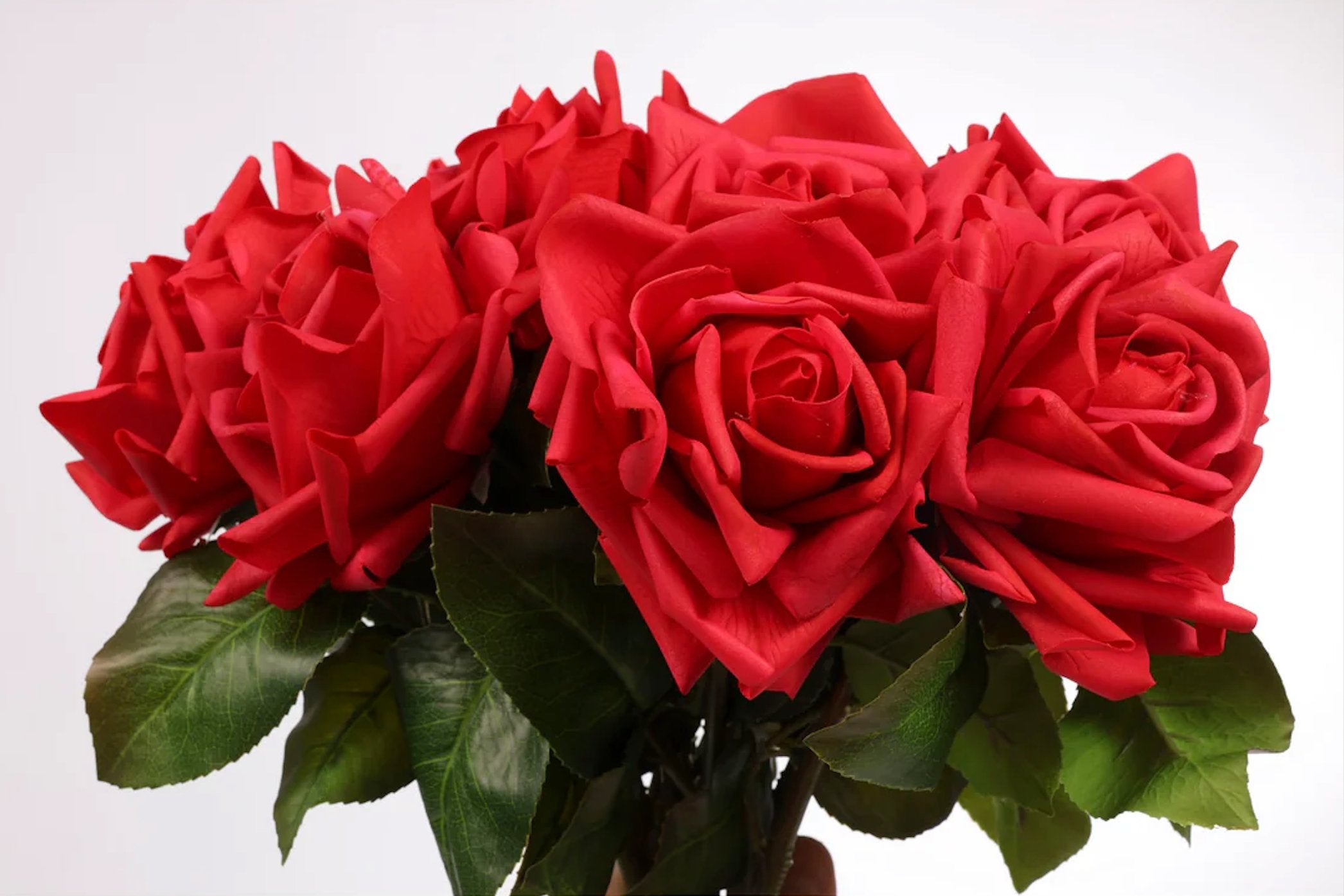 Roses