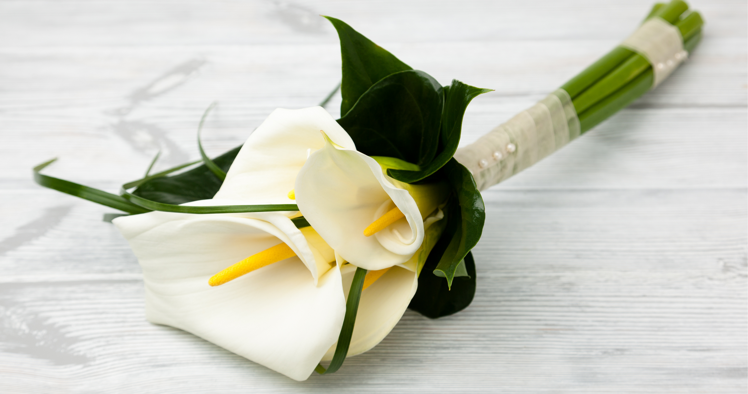 Lilies