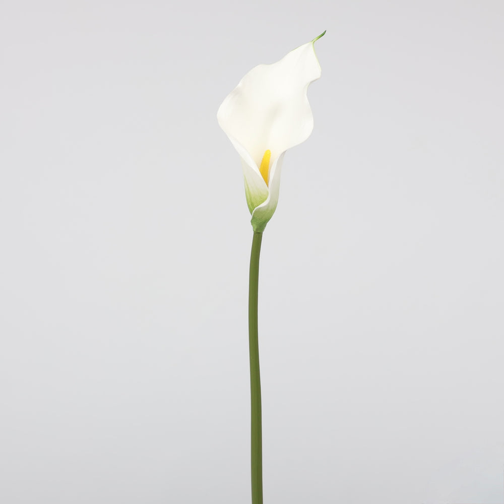 Artificial Calla Lily - White, single stem