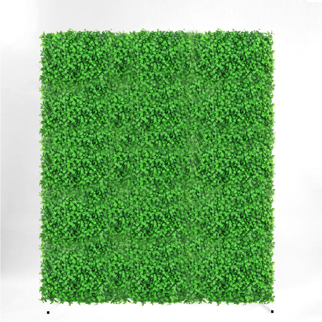Flower Wall & Freestanding Frame Package - Box Hedge Greenery / White Mesh Frame (2mx1.8m)