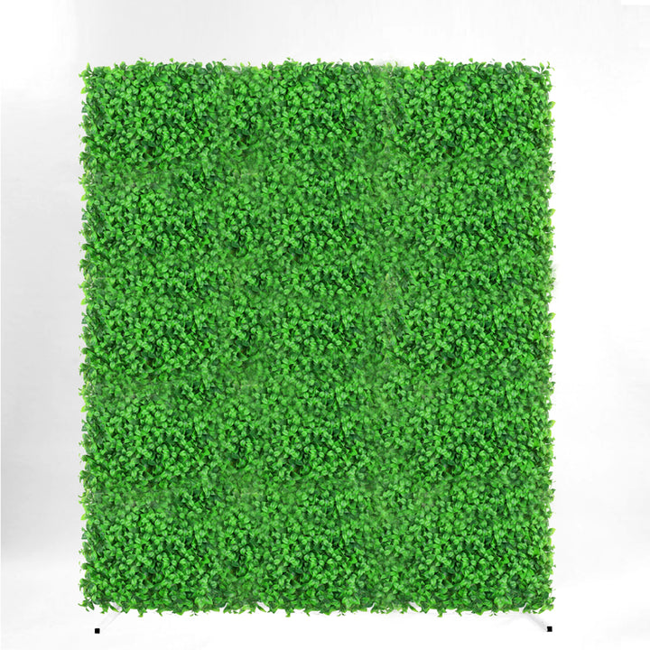 Flower Wall & Freestanding Frame Package - Box Hedge Greenery / White Mesh Frame (2mx1.8m)