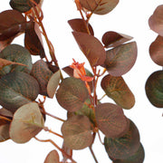 AUTUMN BROWN EUCALYPTUS BRANCH CLOSE UP OF LEAVES AND FLOWERS LEAF VEIN