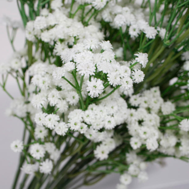 Shop Baby Breath Flowers | Luna Wedding & Event Supplies