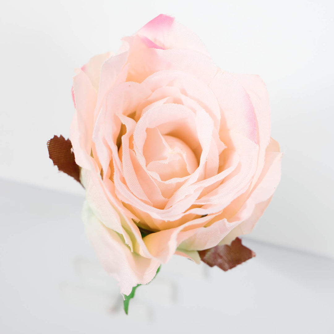 Top View Blush Pink Single Rose