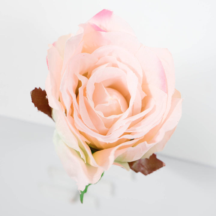 Top View Blush Pink Single Rose