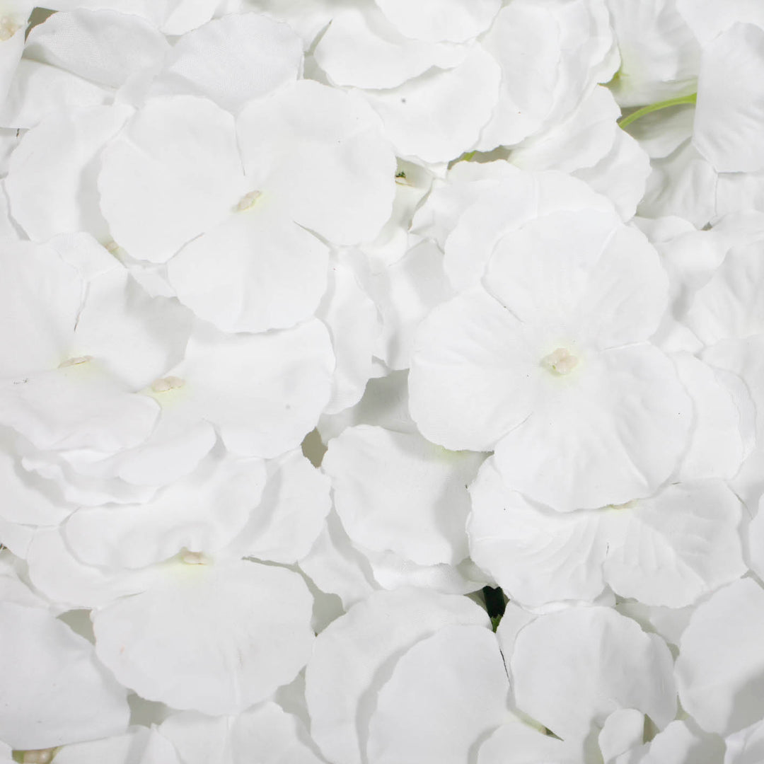 close up of white flower wall panel