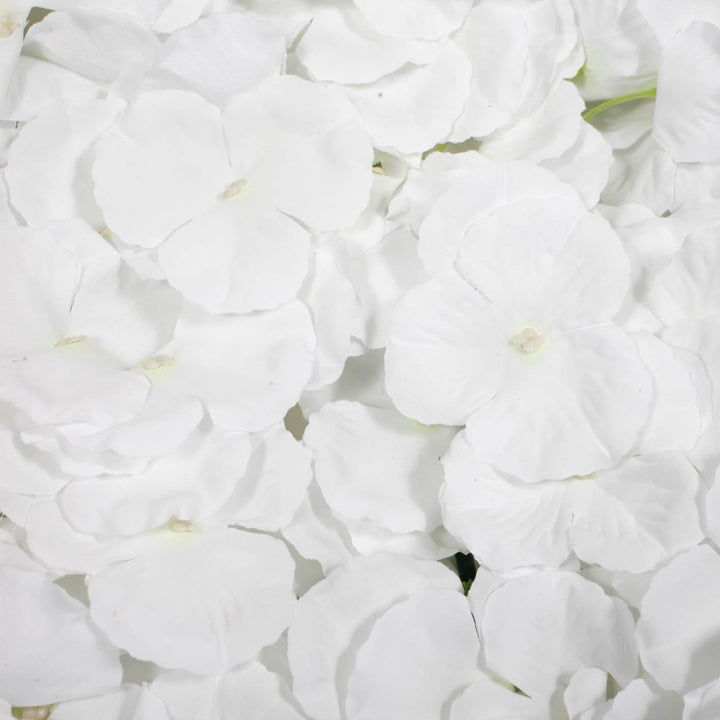 close up of white flower wall panel
