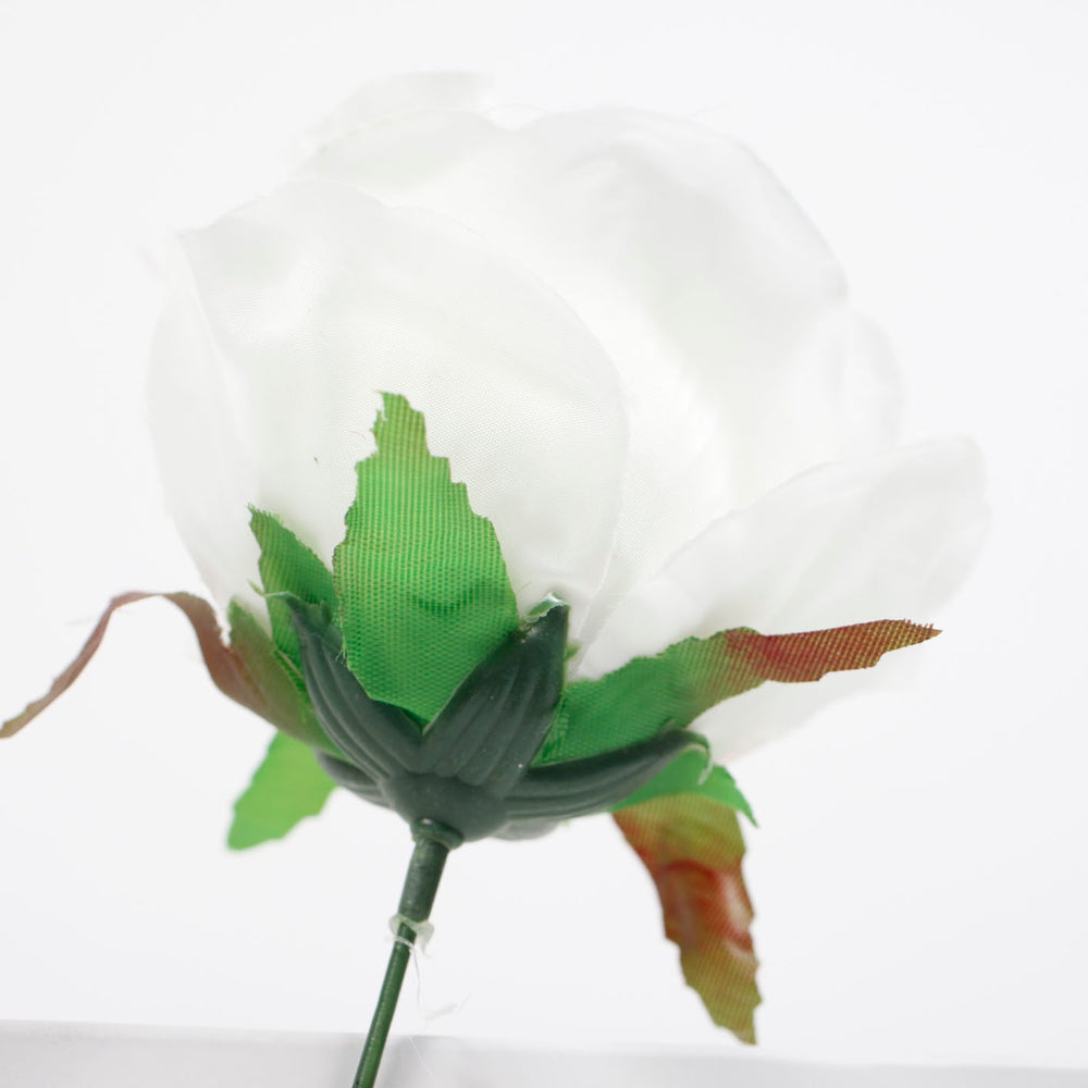 White single White Rose close up
