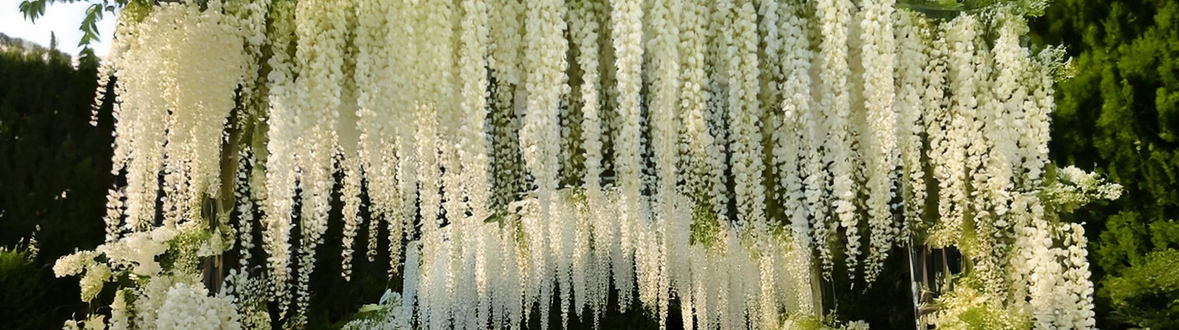 Wisteria Garlands