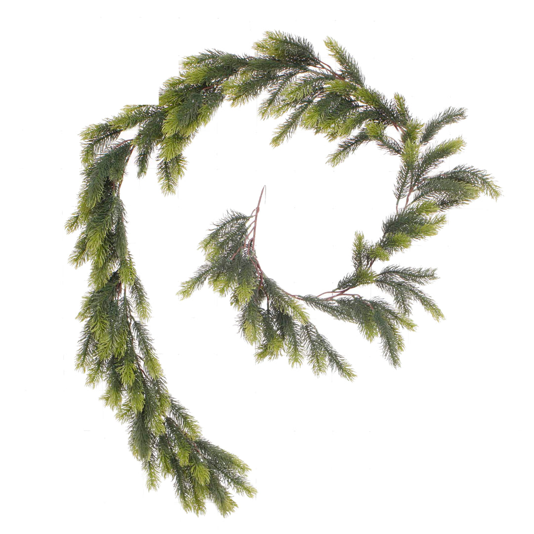 185cm Norfolk Pine Garland curled