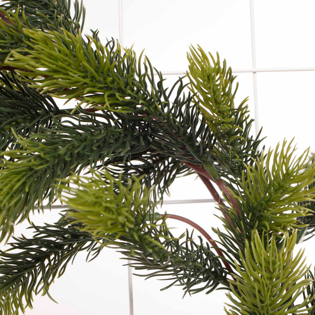 185cm Norfolk Pine Garland close up one