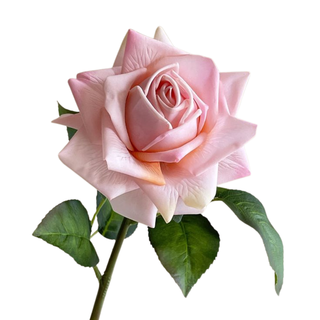 Artificial Real Touch Rose Stem - Blush