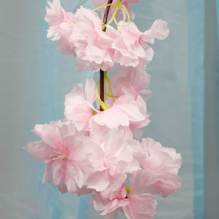 Close up of light pink cherry blossom flower, stem and vine