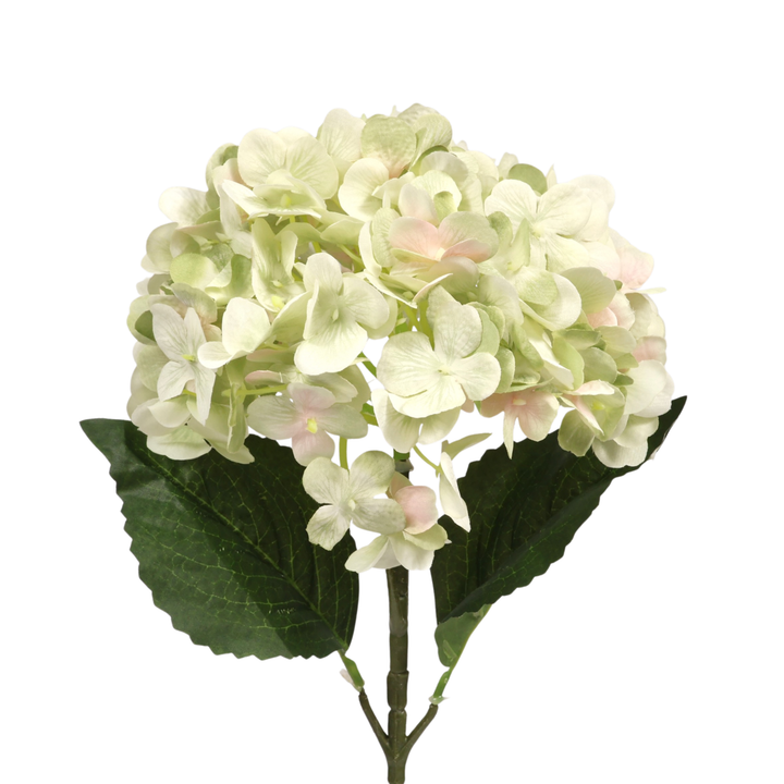 Artificial Hydrangea - Light Green, close up of flower head