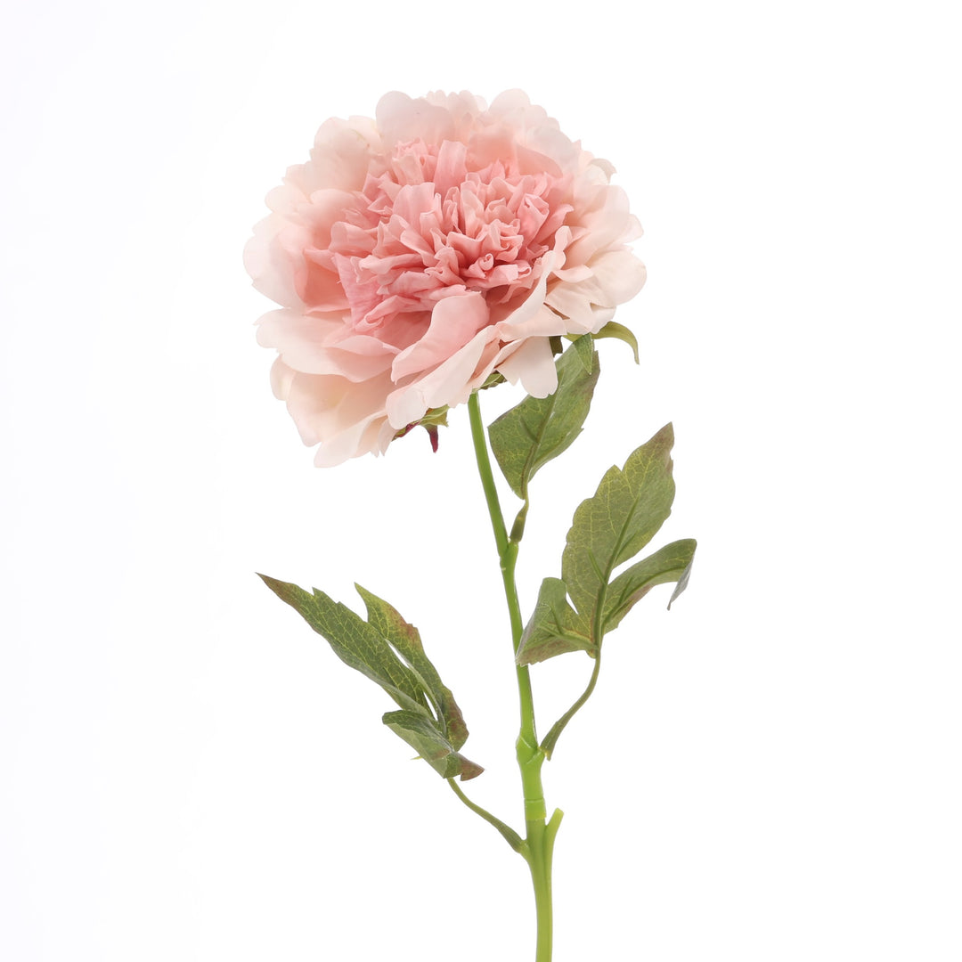 Artificial Peony Rose - Large Stem - Blush
