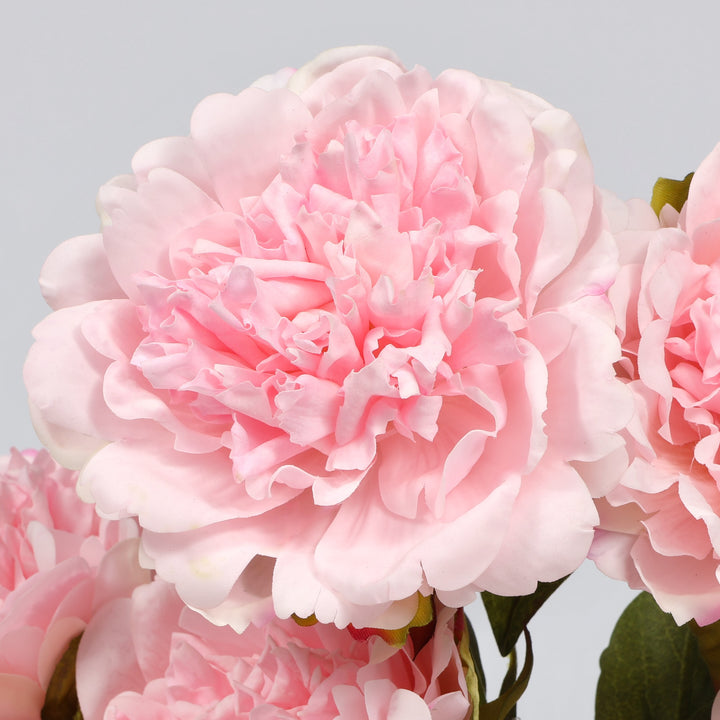 A close-up of a large light pink peony flower with layered ruffled petals, shown against a soft light gray background with other flowers partially visible.
