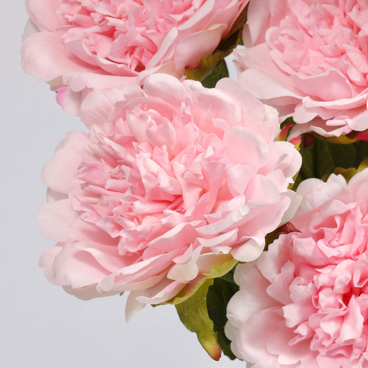 A close-up of several light pink peony flowers with layered ruffled petals and small green leaves, photographed against a plain light gray background.