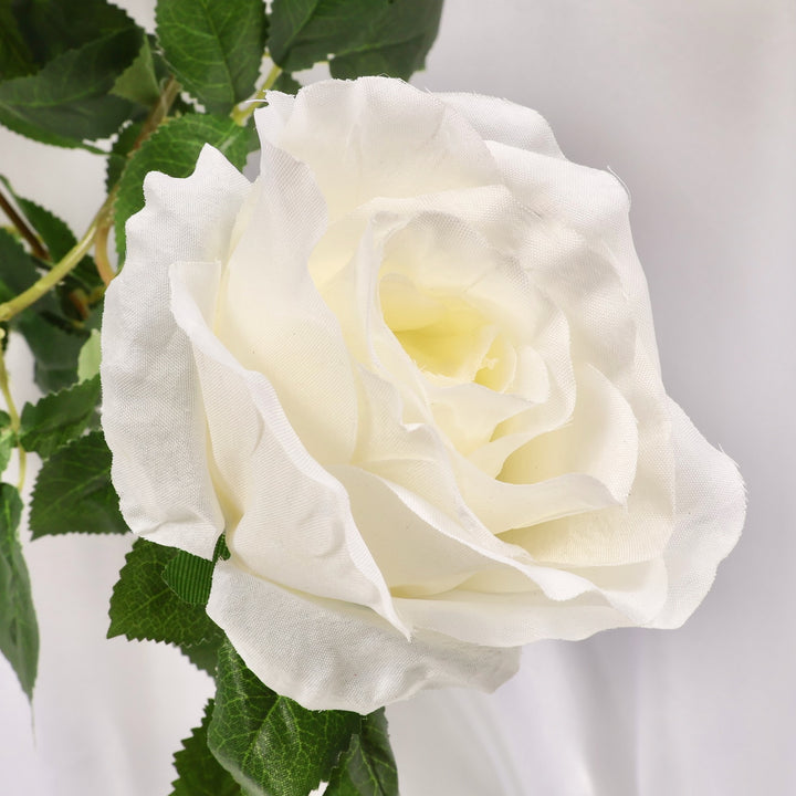 Close-up of a white rose with green leaves on a light gray background