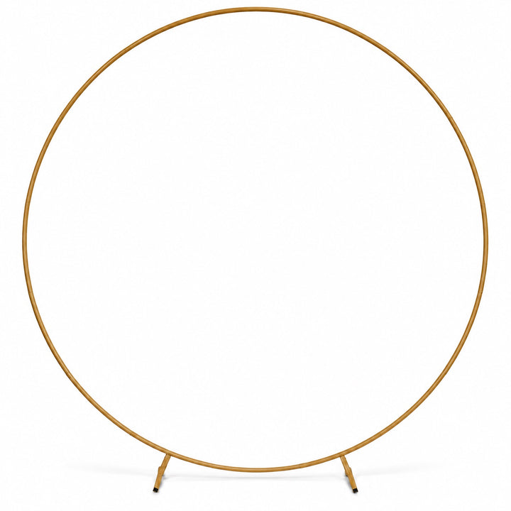 A minimalist gold-finished metal room divider or display stand featuring a large circular frame supported by two slim legs, shown on a solid white background.