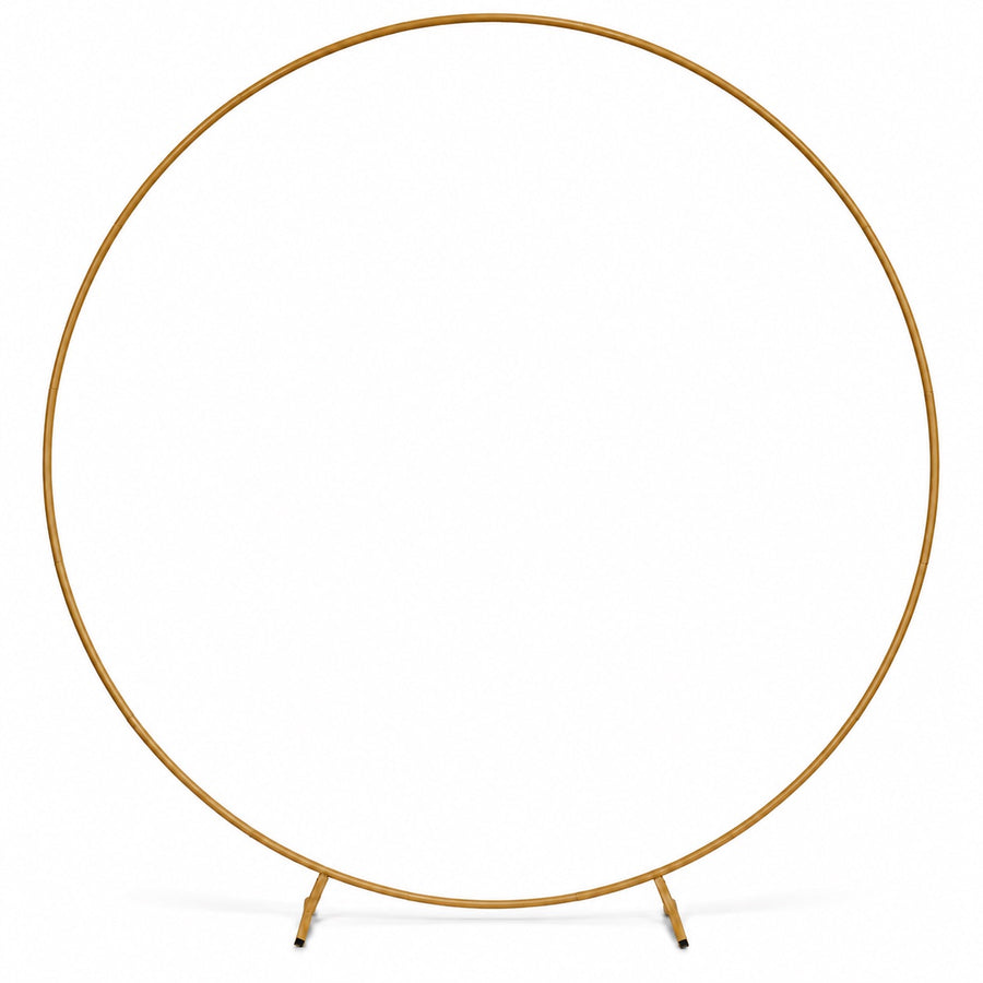 A minimalist gold-finished metal room divider or display stand featuring a large circular frame supported by two slim legs, shown on a solid white background.