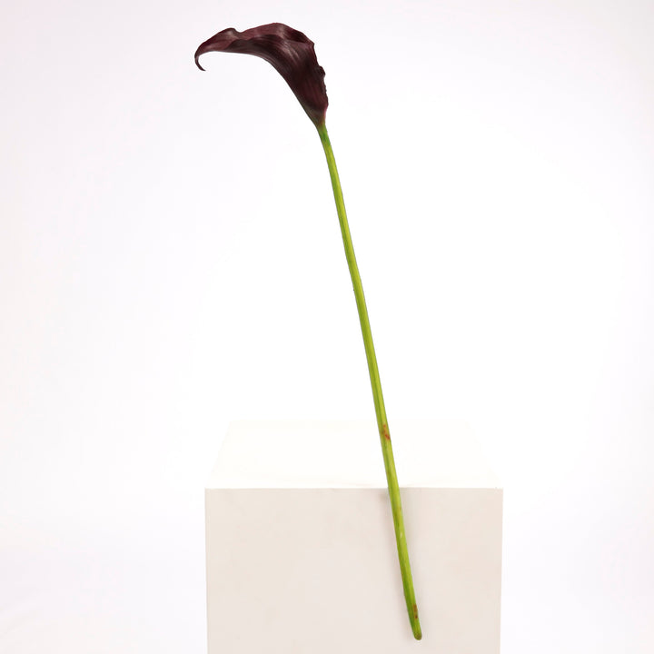 Artificial Calla Lily - Dark Purple single stem