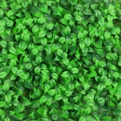 Green Wall Panel Box Hedge Panel Closeup