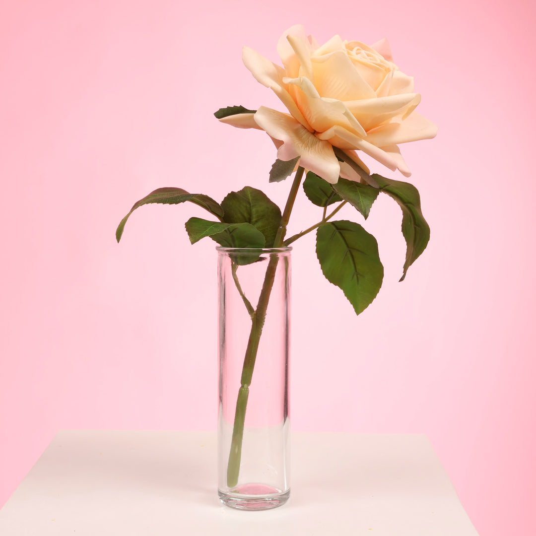 Glass Bud Vase - Plain (4.5x15cm)