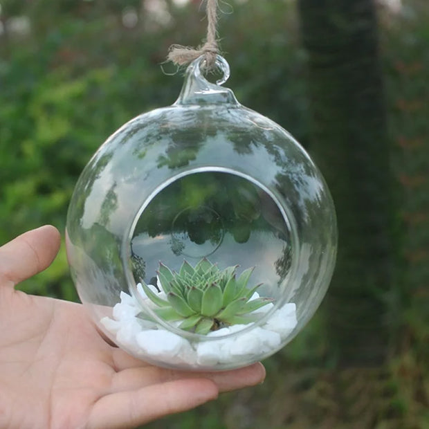 Tealight Candle Holder - Glass - Hanging With Plant