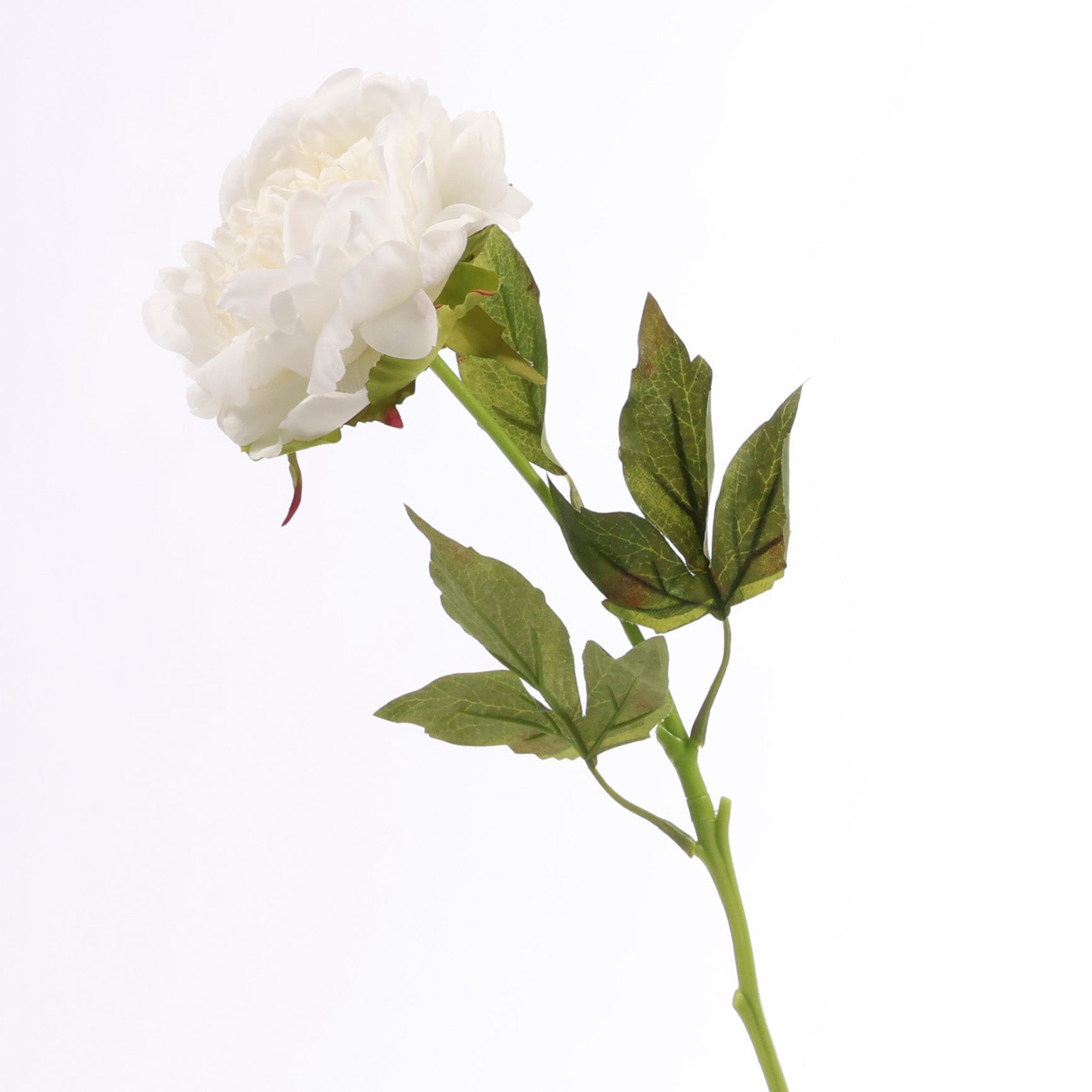Artificial Flowers, Walls & Greenery
