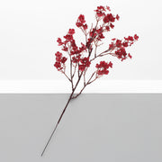 Burgundy coloured cheery blossom with brown steam and branches 