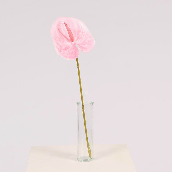 Glass Bud Vase - Plain (4.5x15cm)