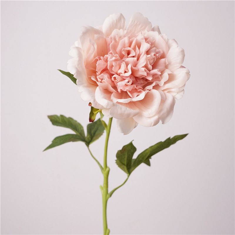 Artificial Peony Rose - Large Stem - Blush