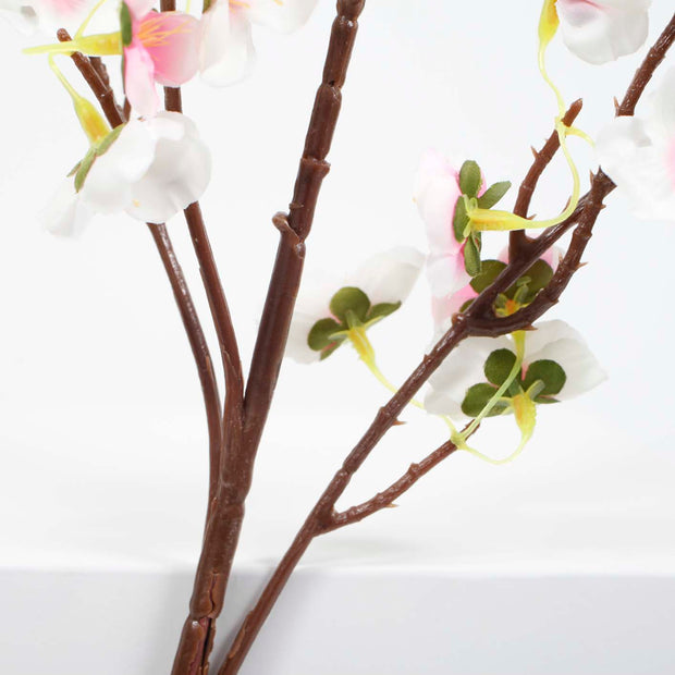 Close up of brown cherry blossom stem