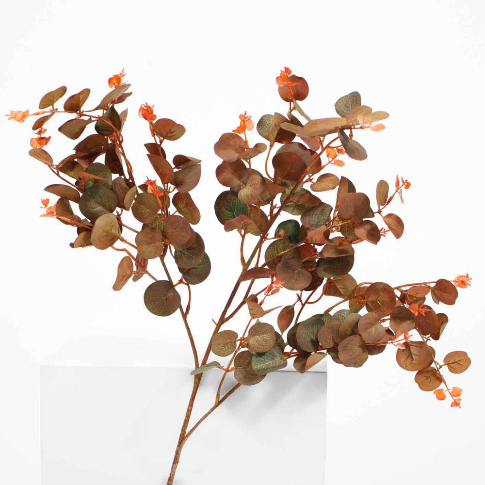 AUTUMN BROWN EUCALYPTUS BRANCH HEAD