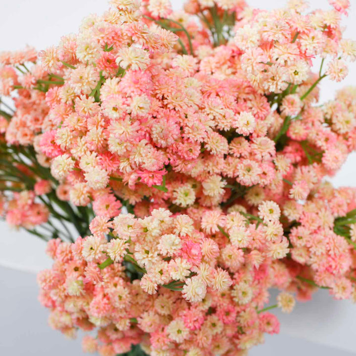 Baby Breath Bouquet Premium - Light Pink (60cm) Close