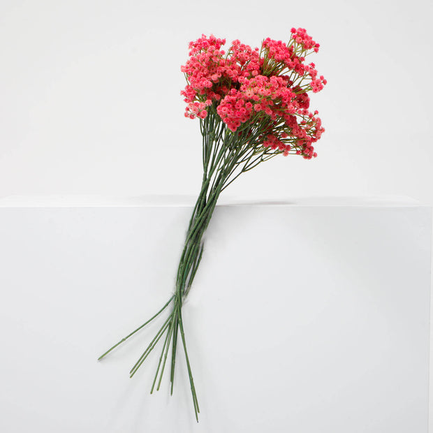 Baby Breath Bouquet Premium - Fuchsia (60cm)