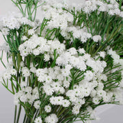 Baby Breath Bouquet Premium - White (60cm) Close D