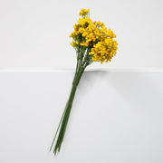 Baby Breath Bouquet Premium - Yellow (60cm)