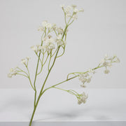 Baby Breath Bouquet Filler Stems - White (60cm) Single Stem Close