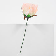 Blush Pink Single Rose with green steam