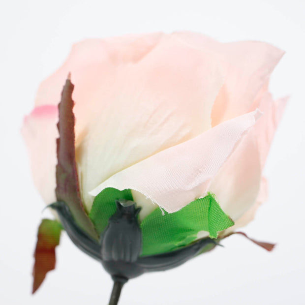 Close up photo Blush Pink Single Rose