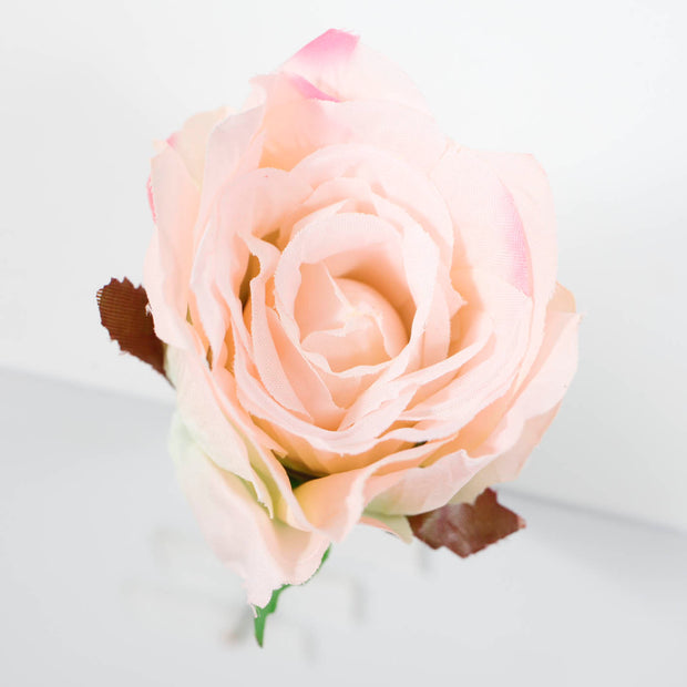 Top View Blush Pink Single Rose 