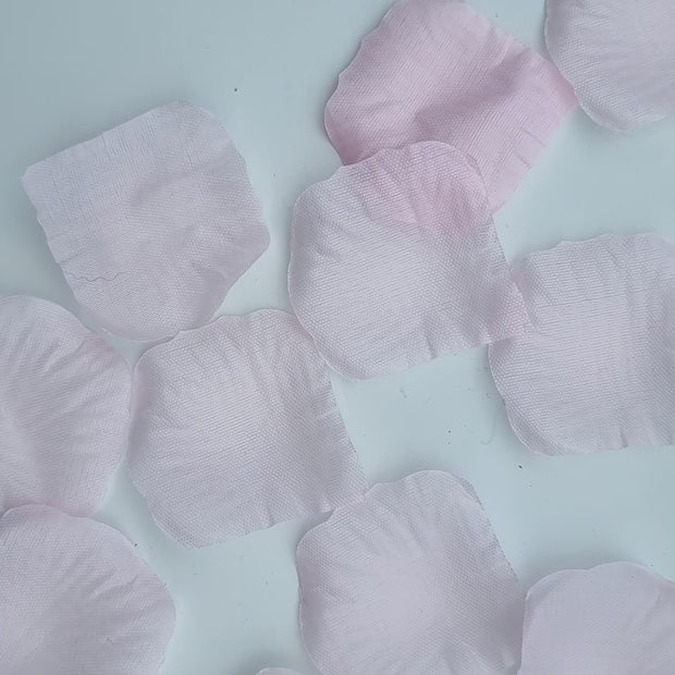 Rose Petals - Blush Pink 100 pc