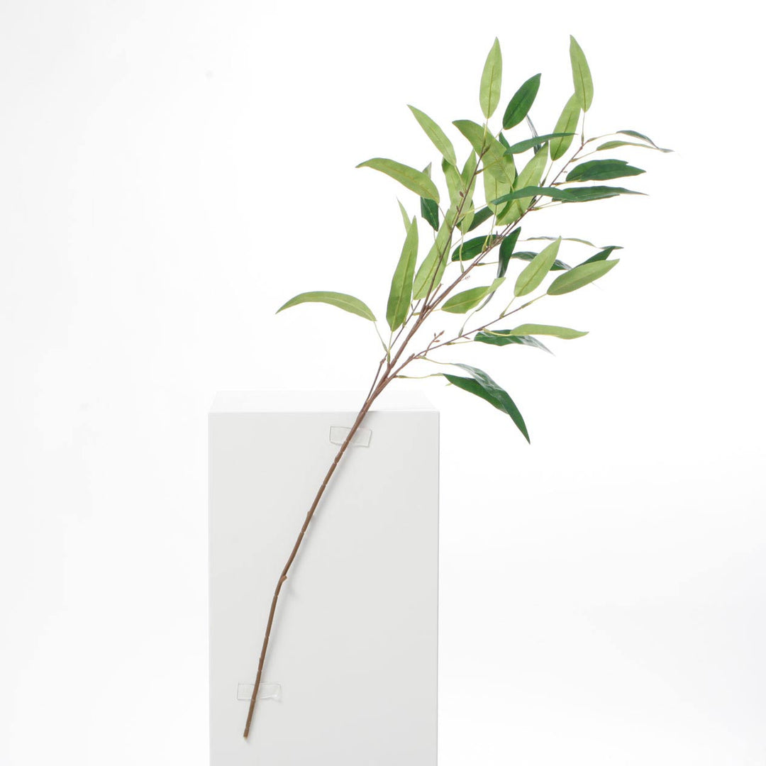 CLEARANCE Eucalyptus Branch - Green Leaves with Brown Stem (90cm)