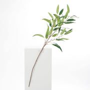 Eucalyptus Branch - Green Leaves with Brown Stem (90cm)