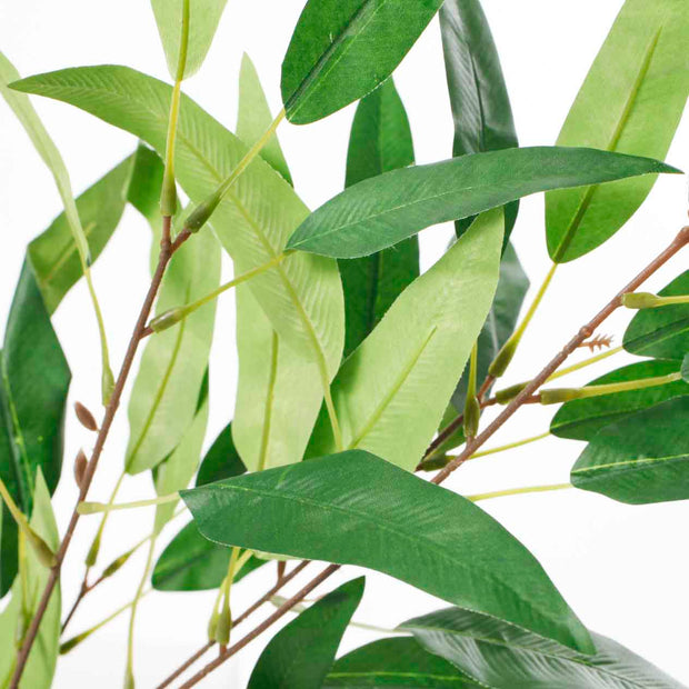 Eucalyptus Branch - Green Leaves with Brown Stem (90cm)
