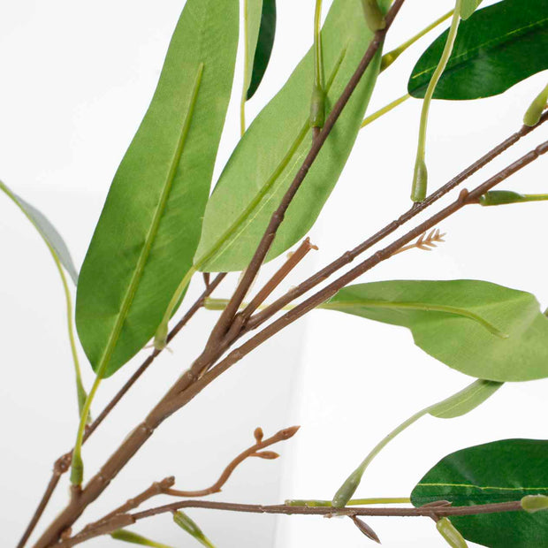 CLEARANCE Eucalyptus Branch - Green Leaves with Brown Stem (90cm)