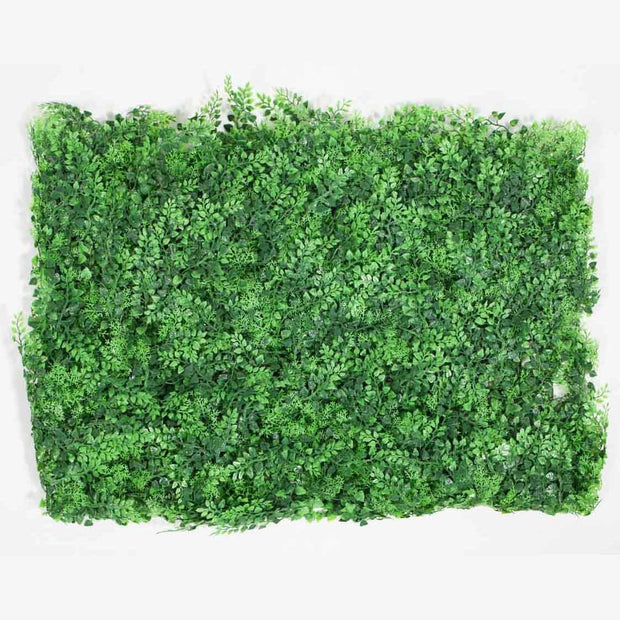 Greenery Wall - Rainforest Fern & Moss
