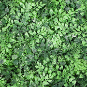 Greenery Wall - Rainforest Fern & Moss Closeup 1