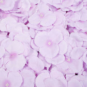 close up photo of purple flower wall panel 